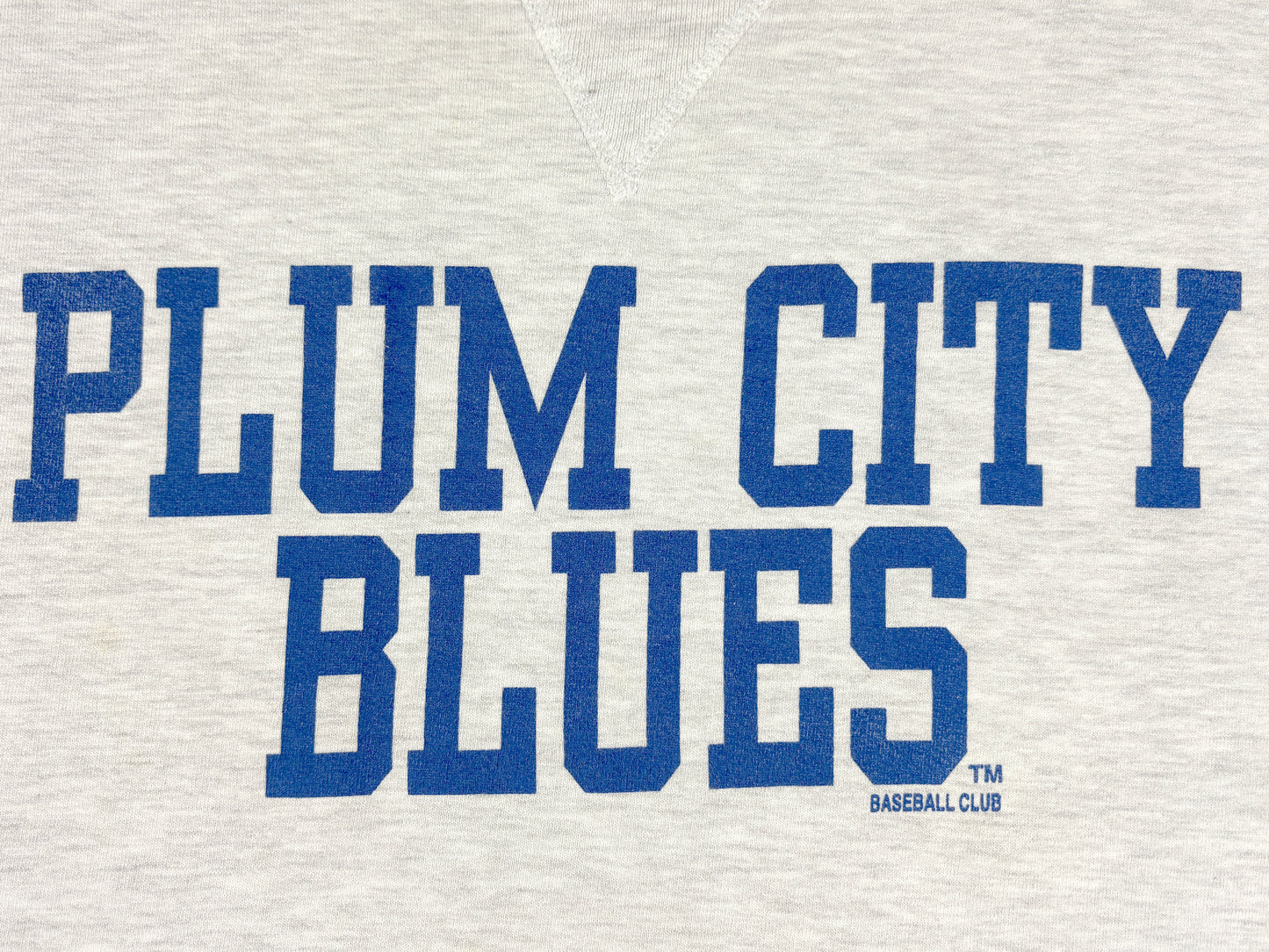 VTG PLUM CITY BLUES SWEATER
