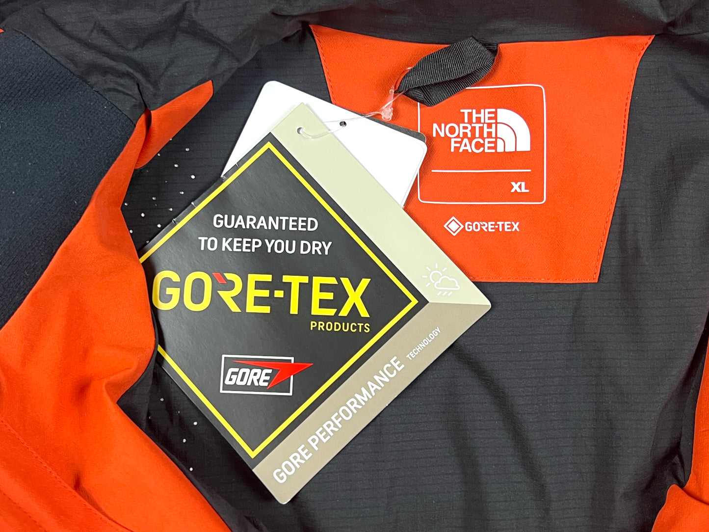 THE NORTH FACE GORE-TEX JACKET