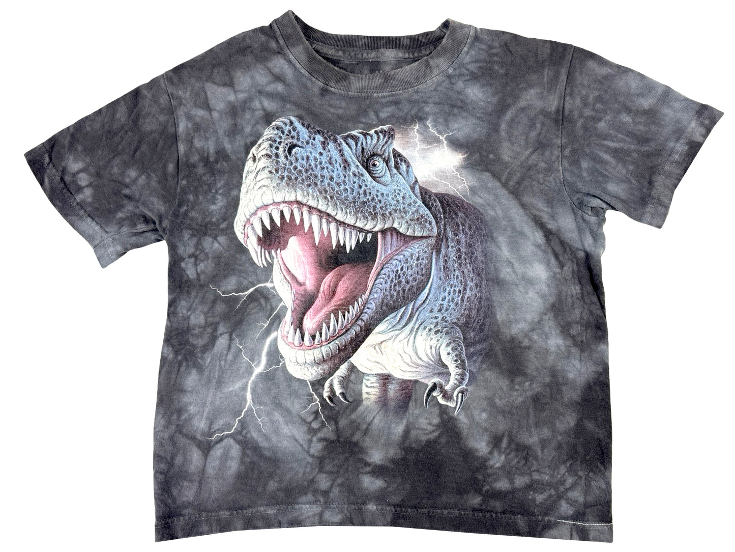 KIDS THE MOUNTAIN DINO T-SHIRT